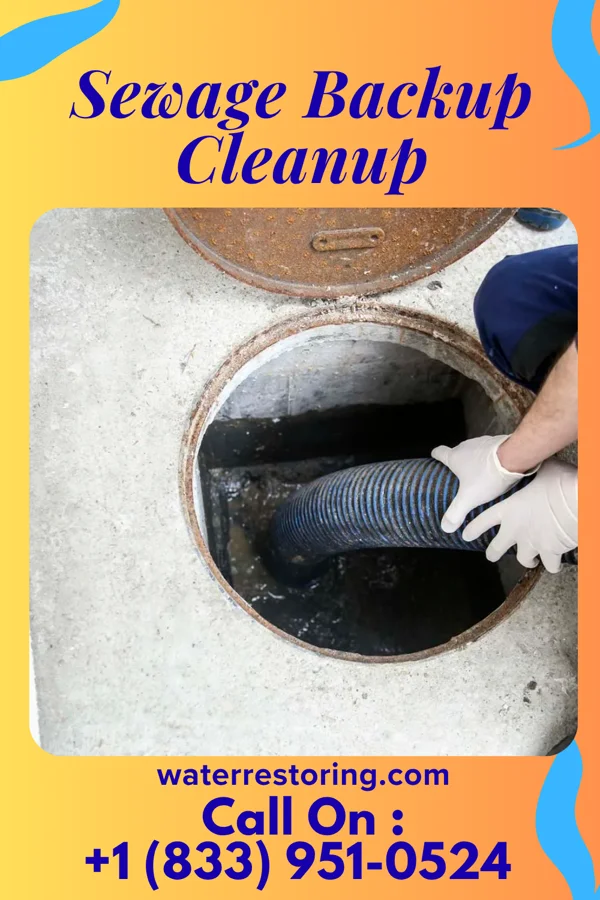 Sewage Backup Cleanup in Bluff City, AR