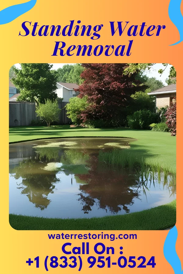 Standing Water Removal in Bluff City, AR